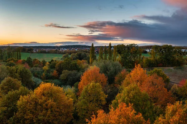 언덕의 숲으로 뒤덮인 아름다운 폴란드 — 스톡 사진