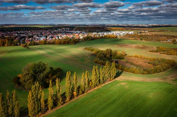 晴れた日の緑の牧草地の美しい風景 ポーランド — ストック写真