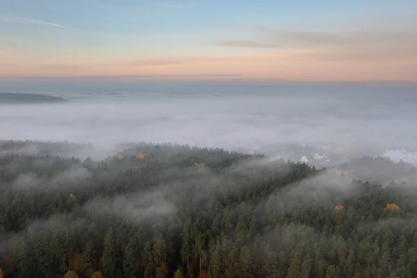 Piękny Krajobraz Poranną Mgłą Nad Lasem Polsce — Zdjęcie stockowe