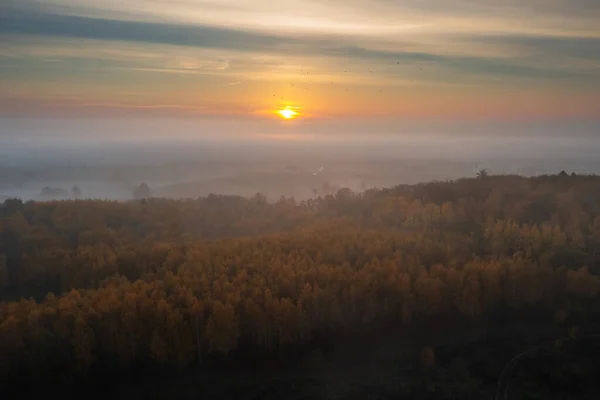 Bela Paisagem Com Nevoeiro Matinal Sobre Floresta Polônia — Fotografia de Stock