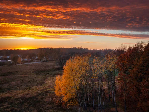 Schöne Landschaft Mit Dem Herbstlichen Wald Bei Sonnenuntergang Polen — Stockfoto