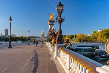 Paris, Seine nehri üzerindeki Pont Alexandre III köprüsünün mimari detayları. Fransa