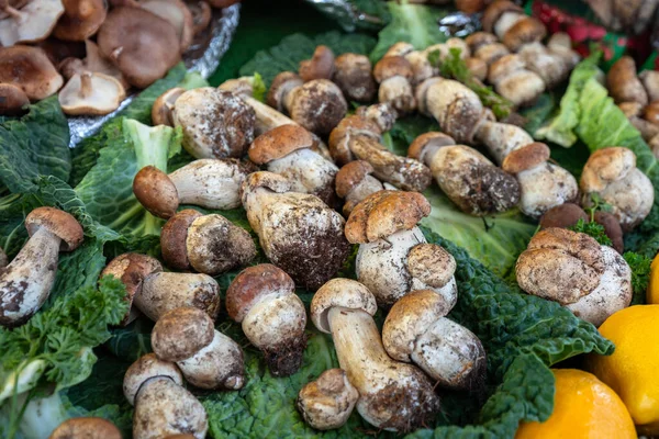Pilze Auf Einem Straßenmarkt Paris Frankreich — Stockfoto