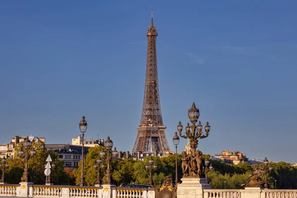 Beautiful Pont Alexandre Iii Bridge Seine River Paris France — Stock Photo, Image