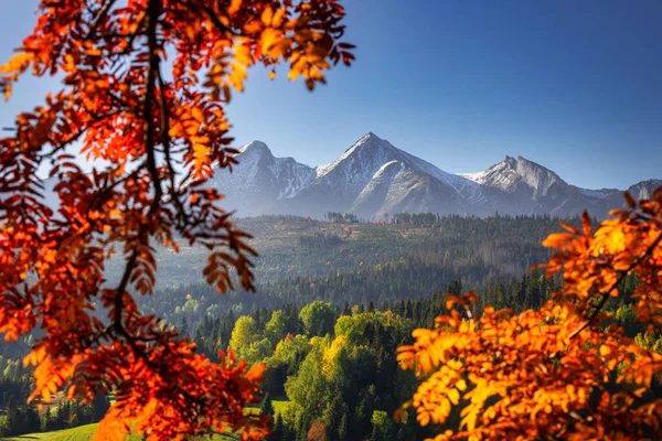 Schöner Herbst Mit Roten Bäumen Unter Der Tatra Bei Sonnenaufgang — Stockfoto