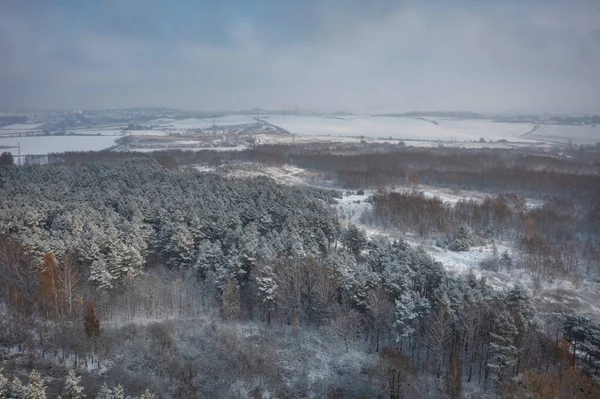 Εναέρια Τοπίο Του Χιονισμένου Δάσους Χειμώνα Πολωνία — Φωτογραφία Αρχείου