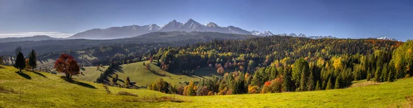 Hermoso Otoño Con Árboles Rojos Bajo Las Montañas Tatra Amanecer —  Fotos de Stock