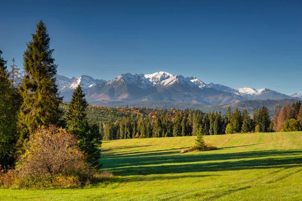 Prachtige Herfst Met Rode Bomen Onder Het Tatra Gebergte Bij — Stockfoto