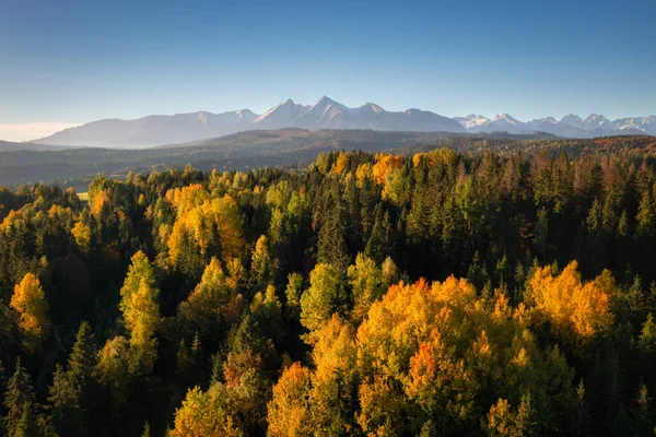 Herfstlandschap Onder Het Tatra Gebergte Lapszanka Polen — Stockfoto