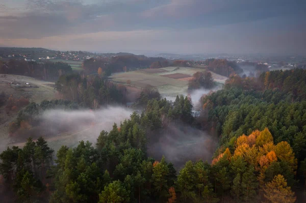 Δάση Του Κασουβιανού Κατά Την Ανατολή Του Ηλίου Πολωνία — Φωτογραφία Αρχείου