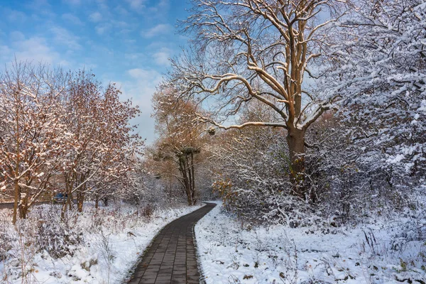 Winter Footpath Snowfall Poland — Stock Photo, Image