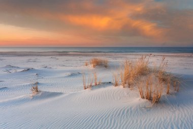 Baltık Denizi kıyısındaki Slowinski Ulusal Parkı 'nın güzel manzarası, Leba. Polonya