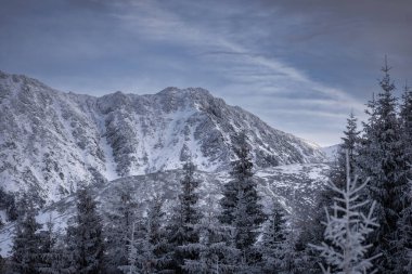 Winter landscape of snowy Tatry Mountains. Poland