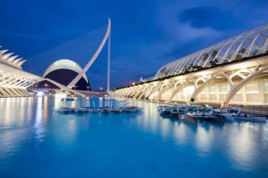 Valencia, Spain - January 20, 2023: Amazing architecture of the City of Arts and Sciences at dusk in Valencia. Spain