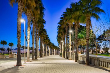 Beautiful promenade with palm trees at the Valencia marina at dawn, Spain.