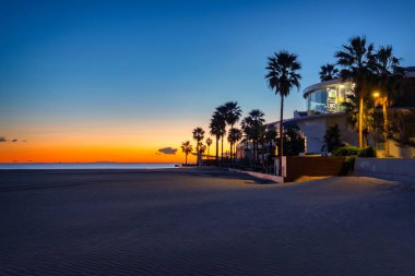 Palm trees on Playa de las Arenas beach at sunrise, Valencia. Spain