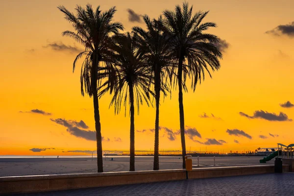 プラヤデラス アレナスのヤシの木日の出 バレンシアのビーチ スペイン — ストック写真