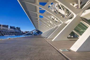 Valencia, Spain - January 19, 2023: Amazing architecture of the City of Arts and Sciences at sunset in Valencia. Spain