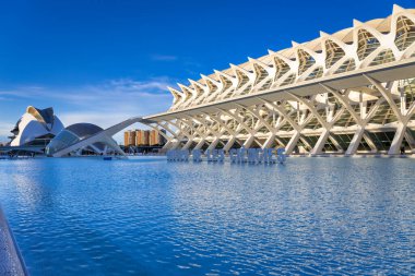 Valencia, Spain - January 19, 2023: Amazing architecture of the City of Arts and Sciences at sunset in Valencia. Spain