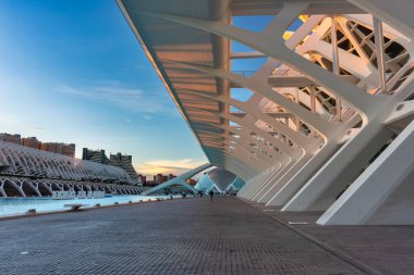 Valencia, Spain - January 19, 2023: Amazing architecture of the City of Arts and Sciences at sunset in Valencia. Spain