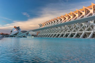 Valencia, Spain - January 19, 2023: Amazing architecture of the City of Arts and Sciences at sunset in Valencia. Spain