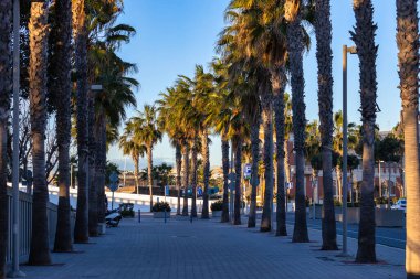 Beautiful promenade with palm trees at the Valencia marina at sunrise, Spain.