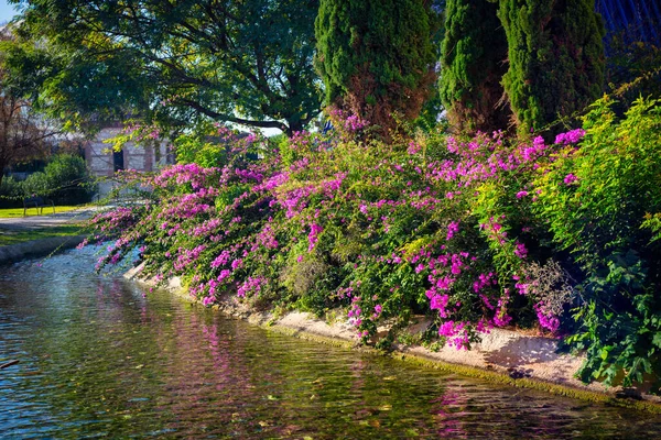 Beautiful scenery of the Turia park in Valencia at sunny day, Spain