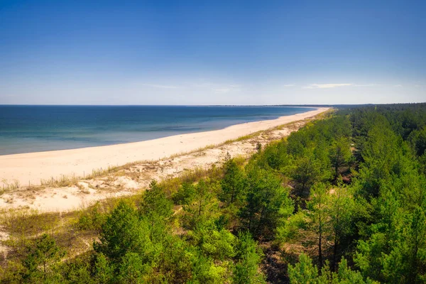 Schöne Landschaft Der Ostsee Sobieszewo Sommer Polen — Stockfoto