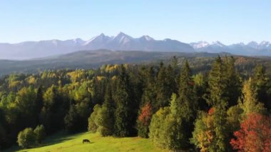 Tatra Dağları 'nın altındaki sonbahar manzarası, Lapszanka. Polonya