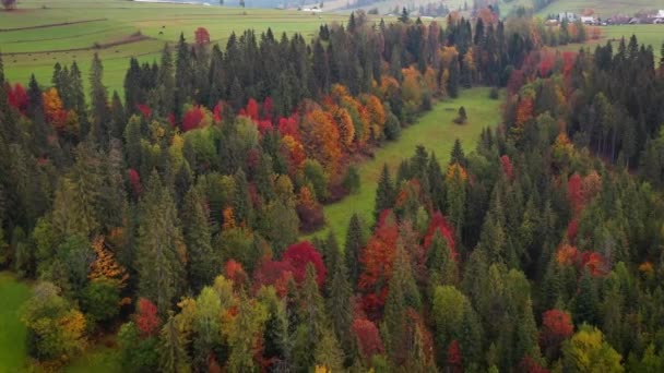 拉普桑卡 塔特拉山下的秋天风景 — 图库视频影像