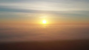 Polonya 'da ormanın üzerinde sabah sisi olan güzel bir manzara.