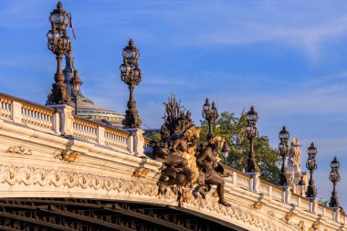 Paris, Seine nehri üzerindeki Pont Alexandre III köprüsünün mimarisi. Fransa
