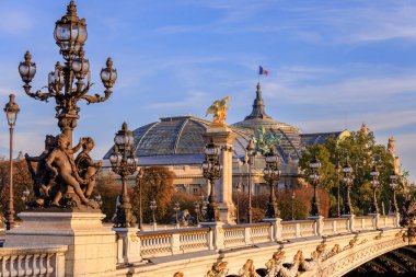 Paris, Seine nehri üzerindeki Pont Alexandre III köprüsünün mimarisi. Fransa