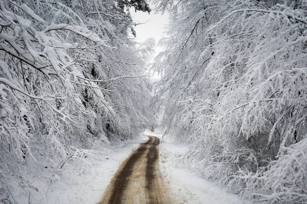 雪に覆われたカシュビアの森 ポーランドを通る曲がりくねった道で美しい冬の風景 — ストック写真