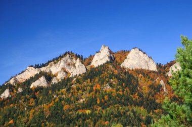 Pieniny Dağları 'nın sonbahar manzarası ve üç taç zirvesi. Polonya