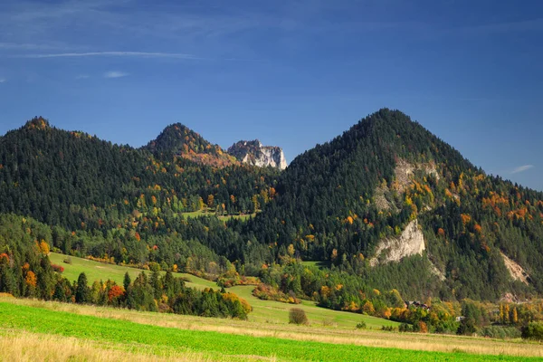 Herfst Landschap Van Pieniny Mountains Met Three Crowns Piek Polen — Stockfoto