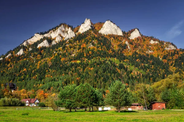 Herbstliche Landschaft Des Pieniny Gebirges Mit Dem Drei Kronen Gipfel — Stockfoto