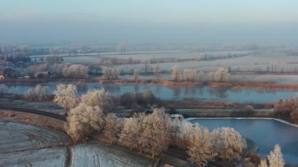 Frozen Landscape Vistula Fens Poland — Stock Video