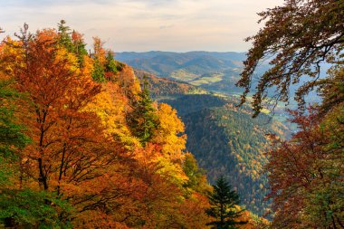 Pieniny Dağları 'nın sonbahar manzarası. Polonya