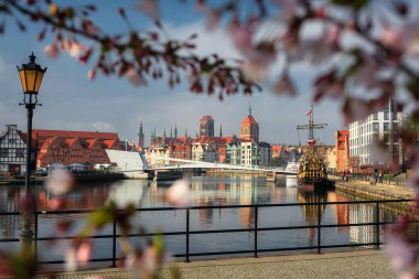 Gdansk manzaralı Motawa Nehri 'nin yanında gün doğumu çiçek açan kiraz ağaçlarının arasından