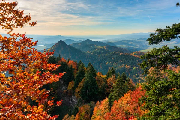 Pieniny Dağları Nın Sonbahar Manzarası Polonya — Stok fotoğraf