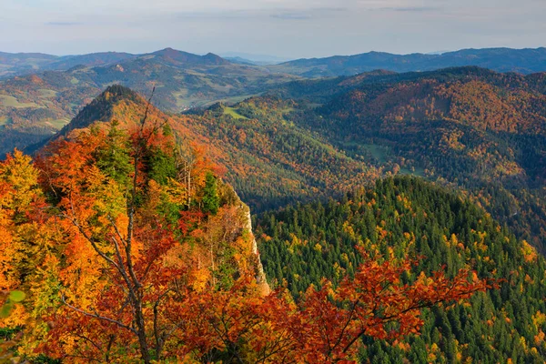 Höstens Landskap Pieninybergen Polen — Stockfoto