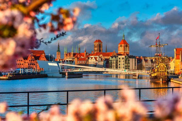 Soluppgång Vid Floden Motawa Med Utsikt Över Gdansk Genom Blommande — Stockfoto