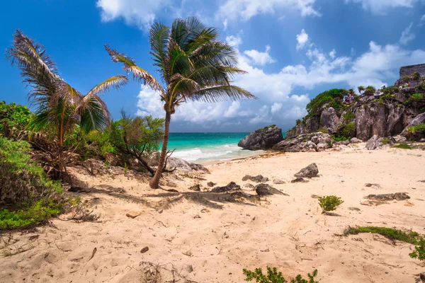 Spiaggia Del Mar Dei Caraibi Tulum Messico — Foto Stock