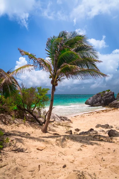 墨西哥图卢姆的加勒比海海滩 — 图库照片
