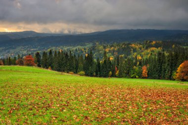 Sonbaharda Tatra Dağları 'nın altında bulutlu bir gün doğumu, Lapszanka. Polonya