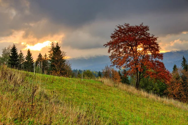 가을에는 타트라 아래서 구름낀 일출을 폴란드 — 스톡 사진