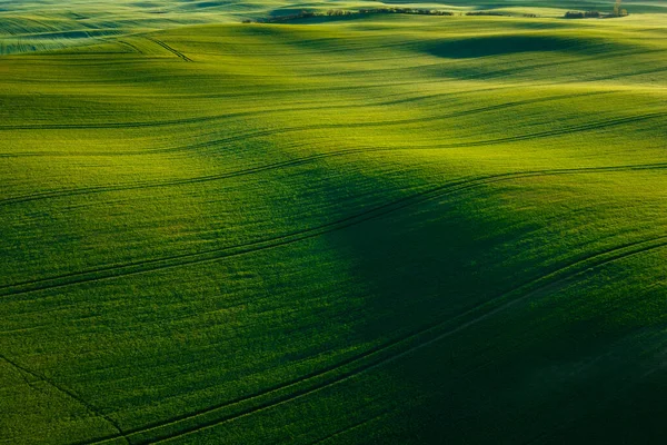 Luchtlandschap Van Groene Velden Noord Polen Het Voorjaar — Stockfoto