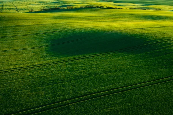 Letecká Krajina Zelených Polí Severním Polsku Jaře — Stock fotografie