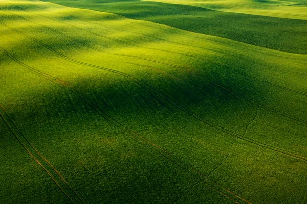 Luftaufnahme Der Grünen Felder Nordpolen Zur Frühlingszeit — Stockfoto
